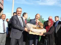 Niğde’de Çilek Dikimi Başladı