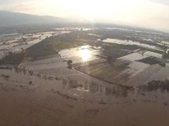 Manisa’da sağanak tarım arazilerine zarar verdi