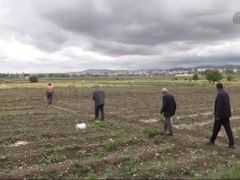 Cırgalan biberini dolu vurdu