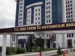 TARIM BAKANLIĞI 11 BİN İŞÇİYLE TOPLU SÖZELŞME İMZALADI.