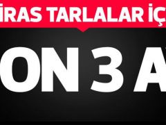 MİRAS TARLALAR İÇİN SON 3 AY.