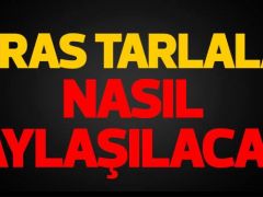 Miras tarlaları nasıl paylaşılacak?