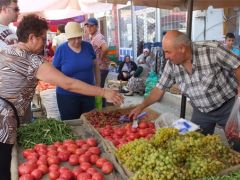 Organik tarım çiftçinin umudu oldu