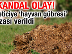 Üreticiye ‘hayvan gübresi’ cezası!