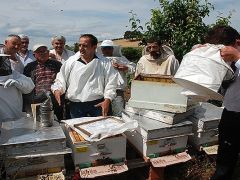 BAYRAMİÇ`TE ANA ARI ÜRETİM KURSU