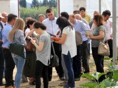 Rusya Tarım Bakanlığı heyeti Serik’teki seraları inceledi