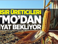 TMO’dan fiyat bekliyor!