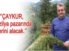 ÇAYKUR Genel Müdürü Sütlüoğlu: ÇAYKUR, Brezilya pazarında yerini alacak