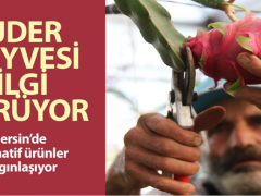 Mersin’de alternatif ürünler yaygınlaşıyor