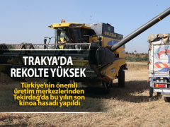 Tekirdağ’da yılın son kinoa hasadı yapıldı