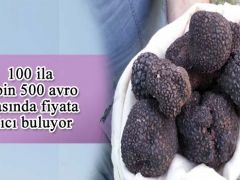 100 ila 3 bin 500 avro arasında fiyata alıcı buluyor