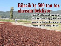 Bilecik’te 500 ton toz biber alıcısını bekliyor