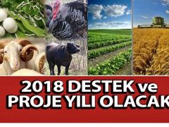 2018 destek ve proje yılı olacak