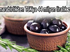 Marmarabirlik’ten TSK’ya 44 milyon liralık zeytin