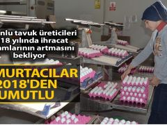 Yumurtacılar 2018’den umutlu