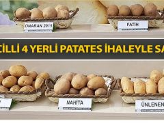 Tescilli 4 yerli patates ihaleyle satışta