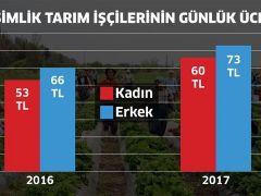 Tarım işçisinin günlük ücreti ortalama yüzde 12 arttı