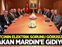 Çiftçinin tepkisi artınca Bakan Mardin’e gidecek!