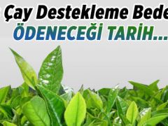 Yaş çay destekleme ödemeleri 6 Nisan’da ödenecek