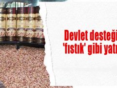 Devlet desteğiyle “fıstık” gibi yatırım