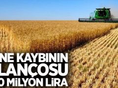 Çevik: Dane kaybının bilançosu 400 milyon lira