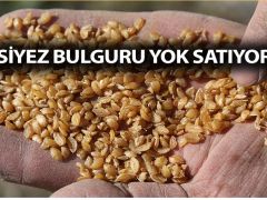 Siyez bulguruna talep erken üretim yaptırdı