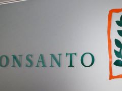 Tarım ilaçları üreticisi Monsanto’ya 289 milyon dolar ceza