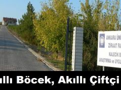 “Akıllı Böcek, Akıllı Çiftçi”