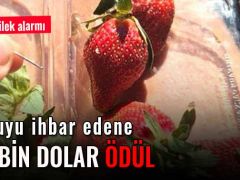 İğneli çilek alarmı! Suçluyu ihbar edene 100 bin dolar ödül.